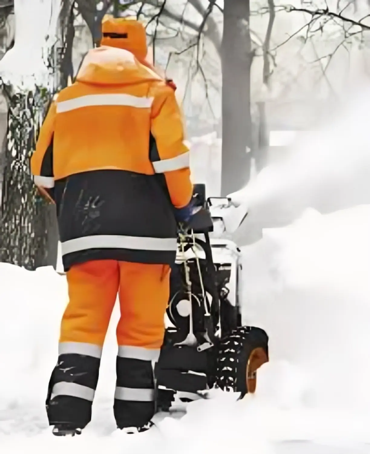 Winterdienst Von Hs Lizard